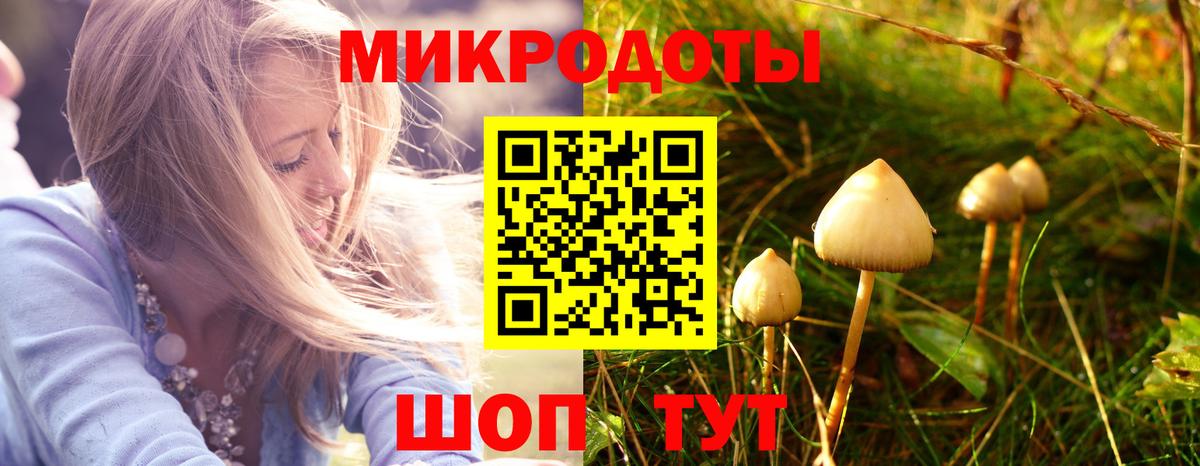 Псилоцибиновые грибы Psilocybine cubensis  наркотики  Бирск  Вход с VPN 
